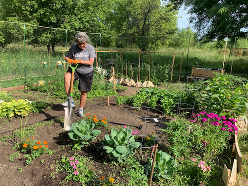 A senior woman uses a shovel in the community garden at Trillium Woods senior living community.