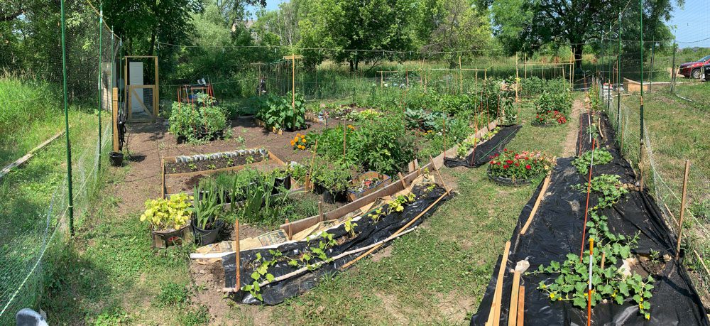community garden