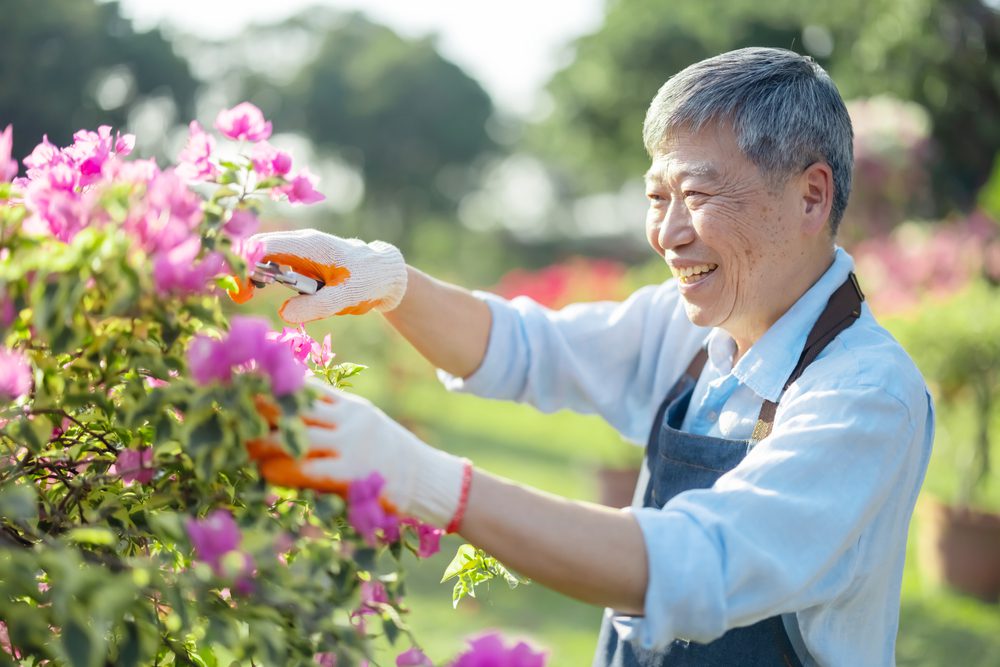 Senior gardening